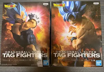 드래곤볼 초 TAG FIGHTERS 에네르기파 & 갈릭포