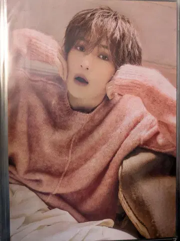 야기 유세이 플라이어