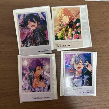 앙스타 폴라로이드 체키 레이 카오루 코가 아도니스