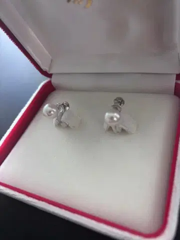 진주 플라티나 귀찌 새상품급