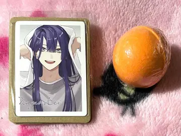 니지산지 빗쿠라타마고 츠무마루 나가오2