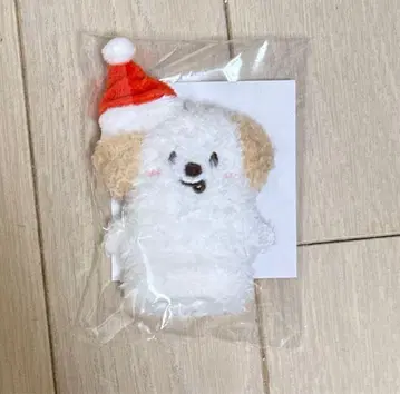 RIIZE 109 POPUP 앤톤 손가락 인형 키링 봉제 인형