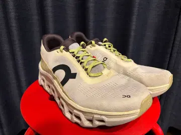 on Cloud Monster2 Alpen Exclusive color