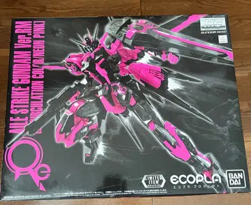 MG 에일 스트라이크 건담 Ver.RM 한정판 에코플라
