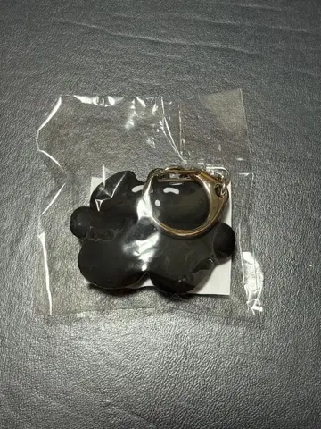 카네코 아야노 키링