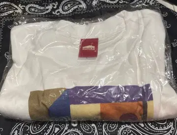 [ 익명 배송 ] sumika 화조풍월 T셔츠 L