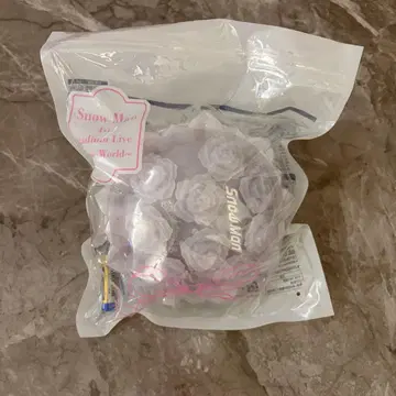 Snow Man Snow World 스타디움 응원봉 꽃다발