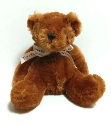 TULLY'S COFFEE 테디베어 봉제 인형 타리즈베어 17th