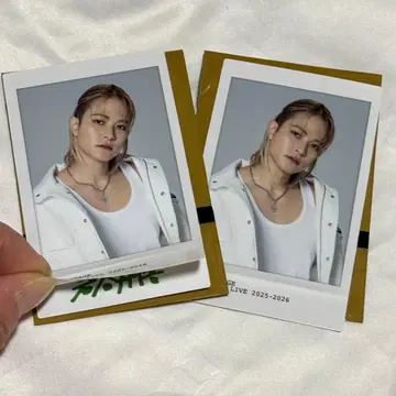 이와타니 쇼고 스티커 카드 시크릿 노멀