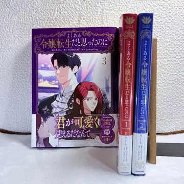 흔한 영애 환생이라고 생각했는데 1~3권 세트