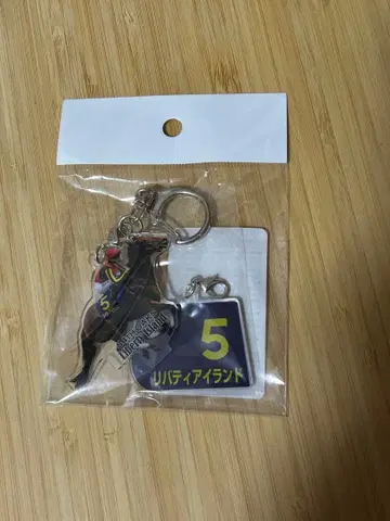 리버티 아일랜드 아크릴 키링