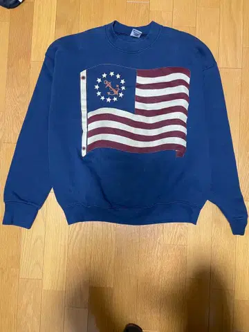 Fruit of the Loom 미국 국기 맨투맨 L