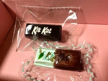 키키 스퀴시 루루 스퀴시 키트 컷