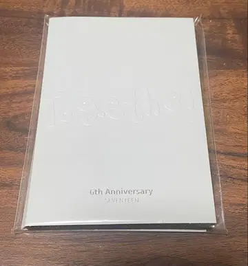 Together 6th Anniversary SEVENTEEN 정한