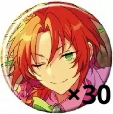 츠키나가 레오 컬렉션 캔뱃지 2024-May