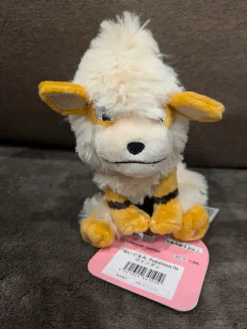 포켓몬 센터 한정 포켓몬핏 봉제 인형 fit 윈디