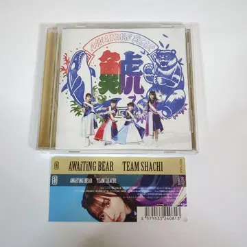 TEAM SHACHI / AWAiTiNG BEAR