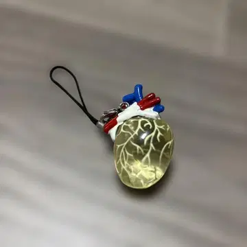 심장형 스트랩 인체의 신비전