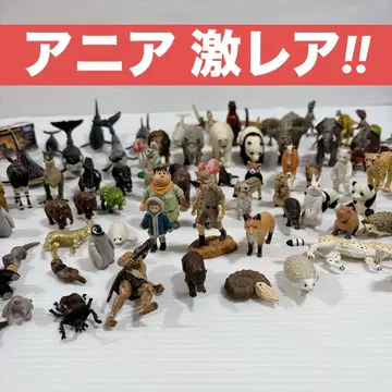 아니아 공룡 동물 인물 한정판 초레어 피규어 타카라토미 묶음 판매
