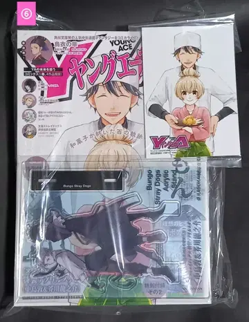 영 에이스 묶음 판매