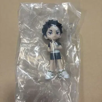 하이큐 파르바스 아카아시 케이지