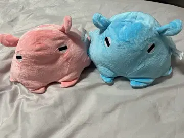 에노스이 멘다코 봉제 인형 2종 신에노시마 수족관 봉제 인형 뽑기