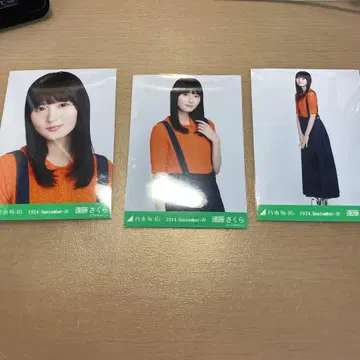 노기자카46 엔도 사쿠라 브로마이드 폴로 니트 3종 컴프