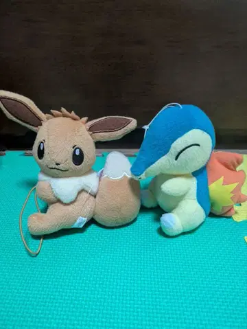 포켓몬스터  봉제 인형 이브이