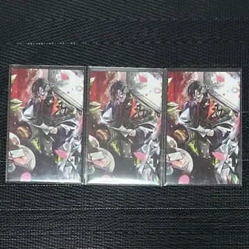 니지산지 노스탤지어 컬렉션 카이세이 C 그룹