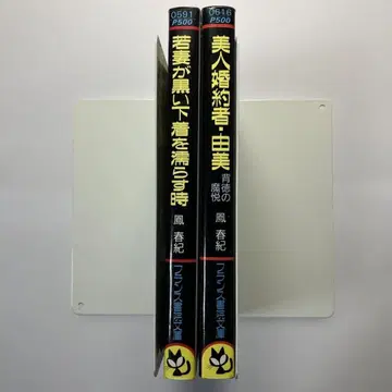 관능소설 세트 (봉춘기) 관능소설 프랑스 서원 프랑스 서원 문고