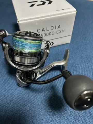 DAIWA CALDIA LT5000D-CXH