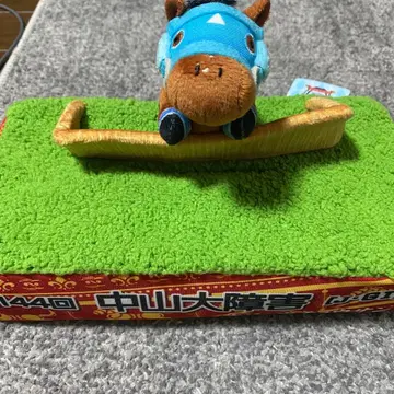 나카야마 대장애 오주우초산