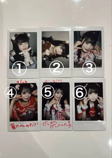 iLife! 심꽃 리리 폴라로이드