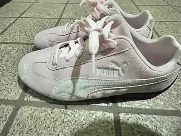 PUMA 스피드 캣 24cm