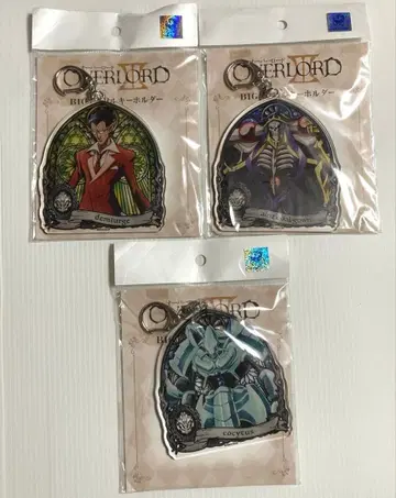 아크릴 키링 세트 오버로드