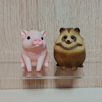 테노리 프렌즈 돼지 에공 너구리