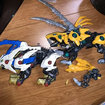 정크제품 조이드