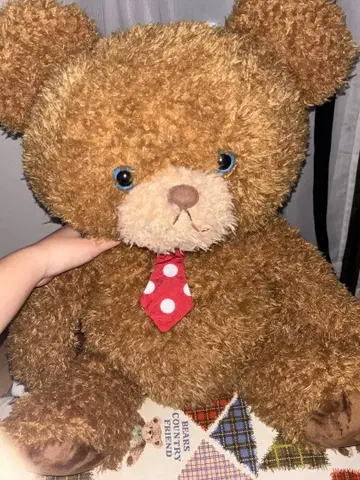 브라운색 곰 봉제 인형