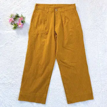 22SS [저널 스탠다드] 남성용 턱 와이드 팬츠 스트라이프