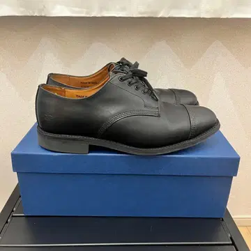Sanders Military Derby Shoe 150th 7H