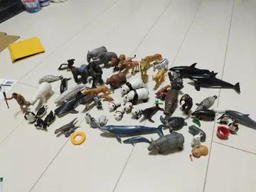 아니아 묶음 판매