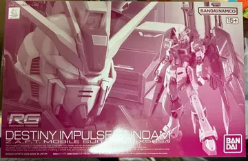 RG 1/144 데스티니 임펄스