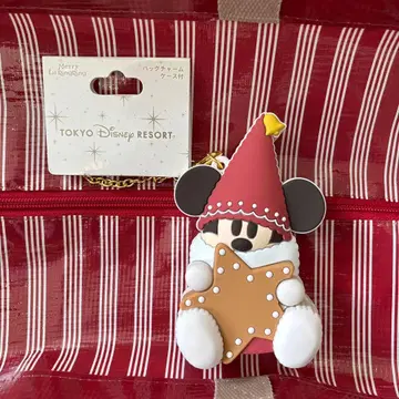 새상품 디즈니 크리스마스 2025 릴린린 백참 케이스 포함