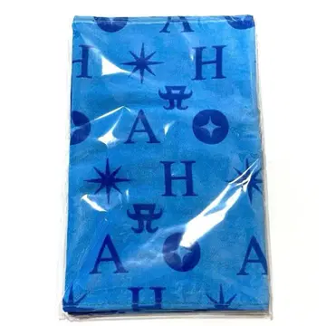 하마사키 아유미 2025 Summer 굿즈 a-nation 페이스 타월