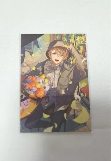 후라 카나토 노스탤지어 컬렉션 카드 니지산지