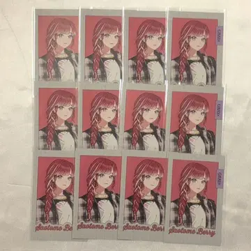 니지산지 사오토메 베리 GRAY x ACCENT 폴라로이드