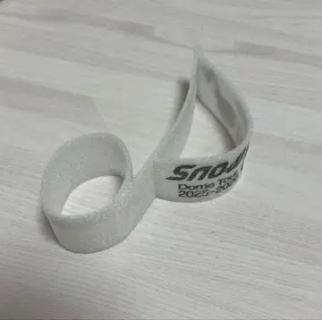 SnowMan 콘서트 낙하물