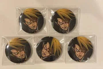 휴먼버그 대학 캔뱃지 노다 5종 세트