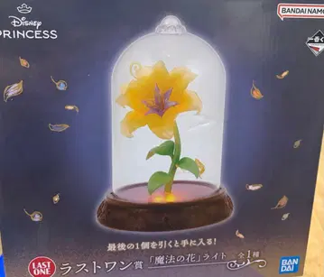 디즈니 프린세스 피규어 세트 A상 라스트 원상 클리어 파일