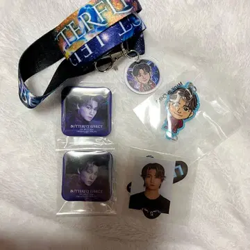 세구치 레야 세트